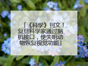 《科学》刊文！复旦科学家通过脑机接口，使失明动物恢复视觉功能