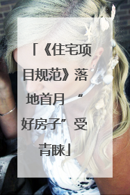 《住宅项目规范》落地首月 “好房子”受青睐
