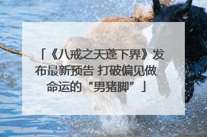 《八戒之天蓬下界》发布最新预告 打破偏见做命运的“男猪脚”