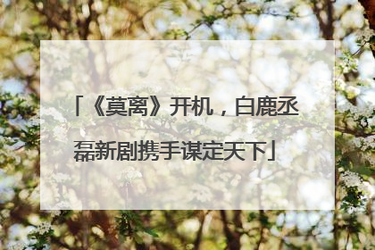 《莫离》开机，白鹿丞磊新剧携手谋定天下
