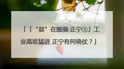 「“县”在图强·正宁①」工业高歌猛进 正宁有何倚仗？