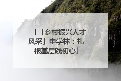 「乡村振兴人才风采」申学林：扎根基层践初心