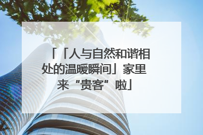 「人与自然和谐相处的温暖瞬间」家里来“贵客”啦