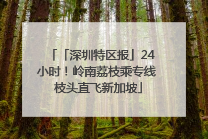 「深圳特区报」24小时！岭南荔枝乘专线 枝头直飞新加坡