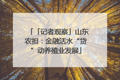「记者观察」山东农担：金融活水“贷”动养殖业发展