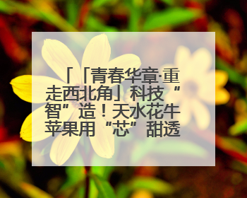 「青春华章·重走西北角」科技“智”造！天水花牛苹果用“芯”甜透你的味蕾