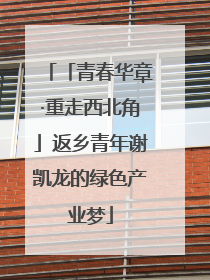 「青春华章·重走西北角」返乡青年谢凯龙的绿色产业梦