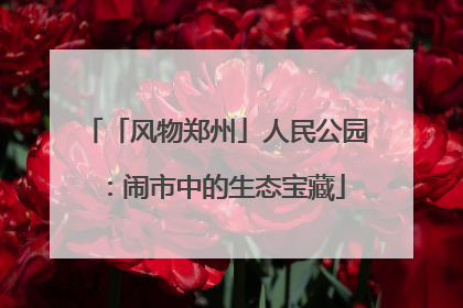 「风物郑州」人民公园：闹市中的生态宝藏