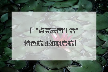 “点亮云南生活”特色航班如期启航