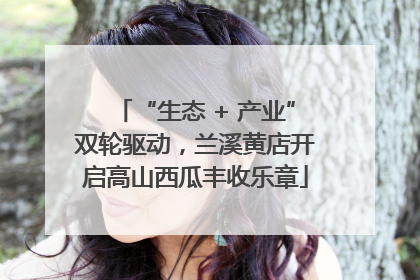 “生态 + 产业”双轮驱动，兰溪黄店开启高山西瓜丰收乐章
