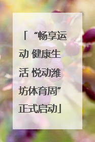 “畅享运动 健康生活 悦动潍坊体育周”正式启动
