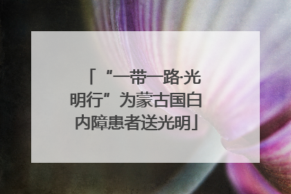 “一带一路·光明行”为蒙古国白内障患者送光明
