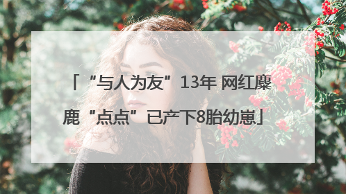 “与人为友”13年 网红麋鹿“点点”已产下8胎幼崽