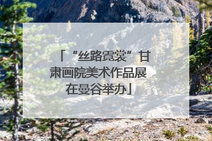 “丝路霓裳”甘肃画院美术作品展在曼谷举办