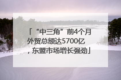 “中三角”前4个月外贸总额达5700亿，东盟市场增长强劲