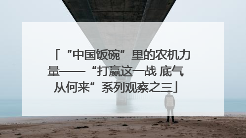 “中国饭碗”里的农机力量——“打赢这一战 底气从何来”系列观察之三