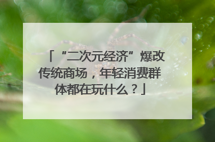 “二次元经济”爆改传统商场，年轻消费群体都在玩什么？