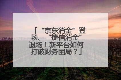 “京东消金”登场、“捷信消金”退场！新平台如何打破财务困局？