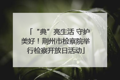 “典”亮生活 守护美好！荆州市检察院举行检察开放日活动
