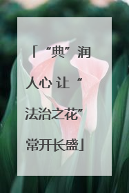 “典”润人心 让“法治之花”常开长盛