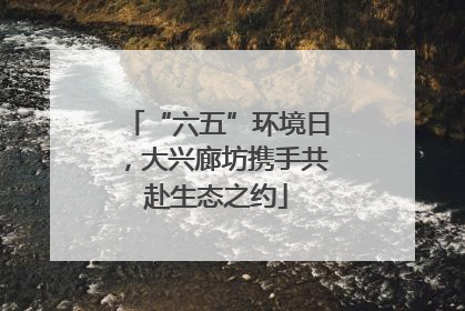 “六五”环境日，大兴廊坊携手共赴生态之约