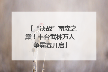 “决战”南森之巅！丰台武林万人争霸赛开启