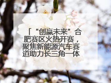 “创赢未来”合肥赛区火热开赛，聚焦新能源汽车赛道助力长三角一体化发展