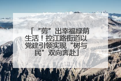 “剪”出幸福绿荫生活！控江路街道以党建引领实现“树与民”双向奔赴