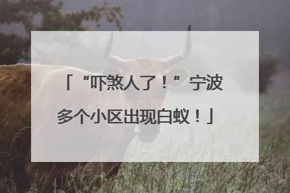“吓煞人了！”宁波多个小区出现白蚁！