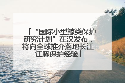 “国际小型鲸类保护研究计划”在汉发布，将向全球推介落地长江江豚保护经验