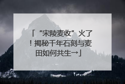 “宋陵麦收”火了！揭秘千年石刻与麦田如何共生→