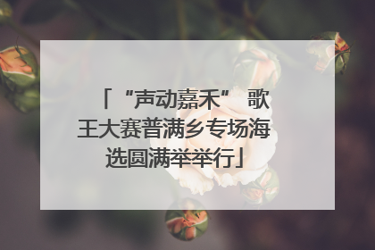 “声动嘉禾” 歌王大赛普满乡专场海选圆满举举行