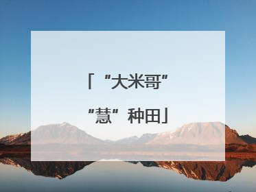 “大米哥”“慧”种田