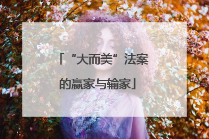 “大而美”法案的赢家与输家
