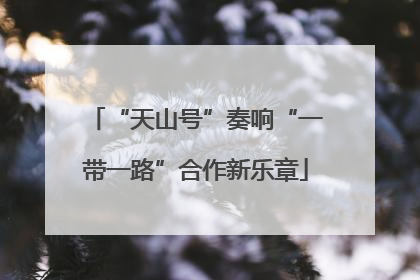“天山号”奏响“一带一路”合作新乐章
