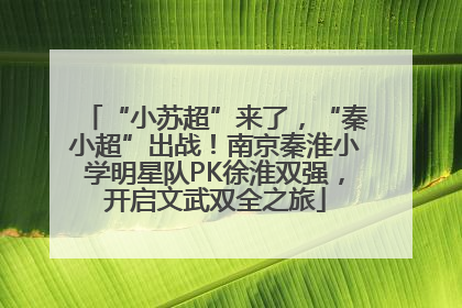 “小苏超”来了，“秦小超”出战！南京秦淮小学明星队PK徐淮双强，开启文武双全之旅