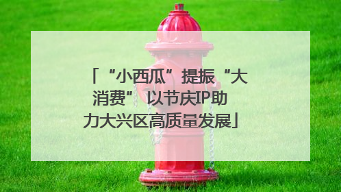 “小西瓜”提振“大消费” 以节庆IP助力大兴区高质量发展