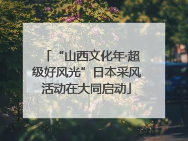 “山西文化年·超级好风光”日本采风活动在大同启动