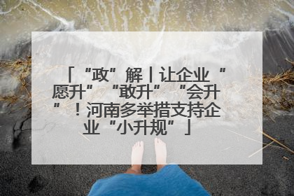 “政”解丨让企业“愿升”“敢升”“会升”！河南多举措支持企业“小升规”