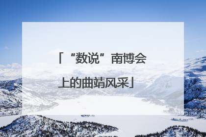 “数说”南博会上的曲靖风采