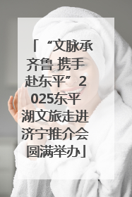 “文脉承齐鲁 携手赴东平”2025东平湖文旅走进济宁推介会圆满举办