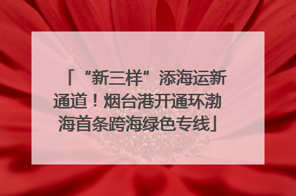 “新三样”添海运新通道！烟台港开通环渤海首条跨海绿色专线