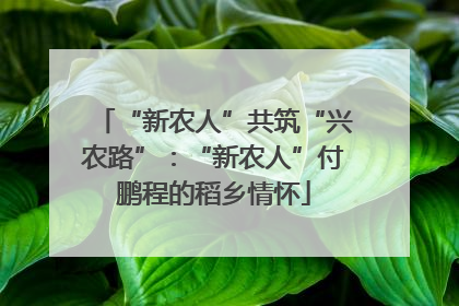“新农人”共筑“兴农路”：“新农人”付鹏程的稻乡情怀