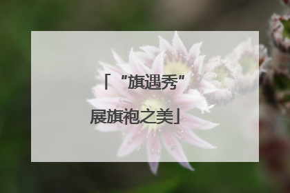 “旗遇秀”展旗袍之美