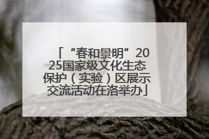 “春和景明”2025国家级文化生态保护（实验）区展示交流活动在洛举办