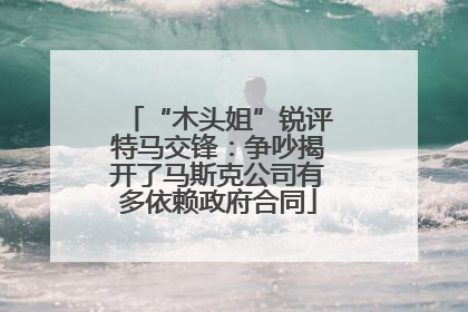 “木头姐”锐评特马交锋：争吵揭开了马斯克公司有多依赖政府合同