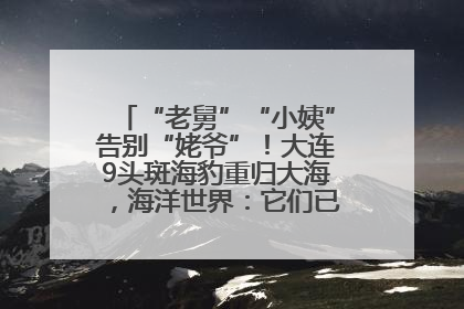 “老舅”“小姨”告别“姥爷”！大连9头斑海豹重归大海，海洋世界：它们已具备野外生存能力