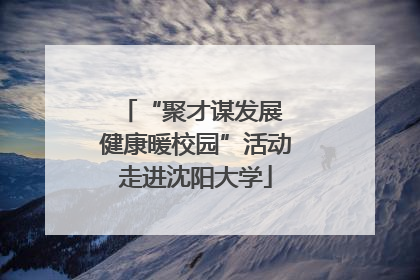 “聚才谋发展 健康暖校园”活动走进沈阳大学