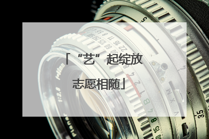 “艺”起绽放 志愿相随