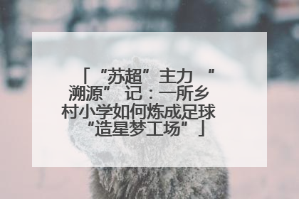 “苏超”主力 “溯源” 记：一所乡村小学如何炼成足球 “造星梦工场”